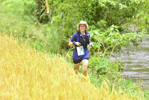 BIB: 1306
                            <button type="button" onclick="openModal(13436135)" class="btn btn-primary btn-sm float-right btn-popup" data-toggle="modal" data-target=".modal-high-quality">
                        <i class="fas fa-shopping-cart"></i> Add to Cart
                    </button>
                                            <button type="button" onclick="isThisMe(13436135, true)" class="btn btn-success btn-sm float-right btn-popup btn-isme hidden" data-toggle="tooltip" data-placement="bottom" title="นี่คือรูปของคุณใช่ไหม คลิกที่นี่เพื่อเอาเข้าอัลบั้ม">
                        <i class="fas fa-plus"></i> Add to album
                    </button>
                    <button type="button" onclick="isThisMe(13436135, false)" class="btn btn-warning btn-sm float-right btn-popup btn-isnotme hidden">
                        <i class="fas fa-ban"></i> Remove from album
                    </button>